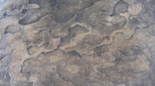 ArizSandstone
