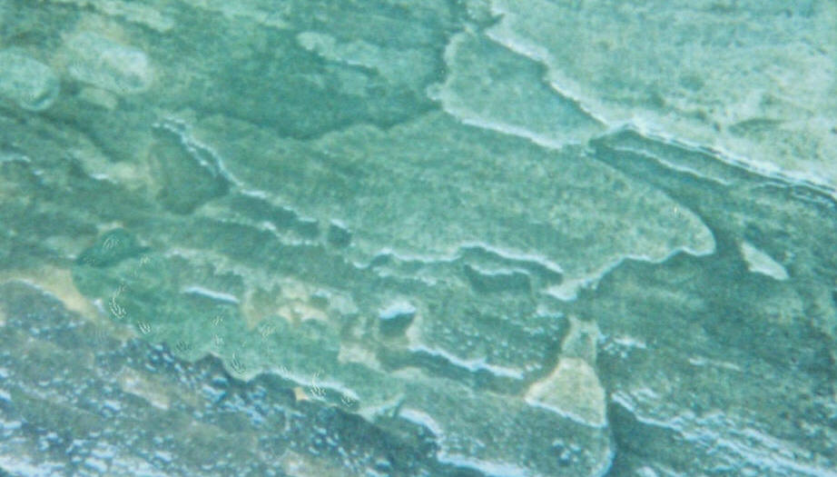 BlueSeamless